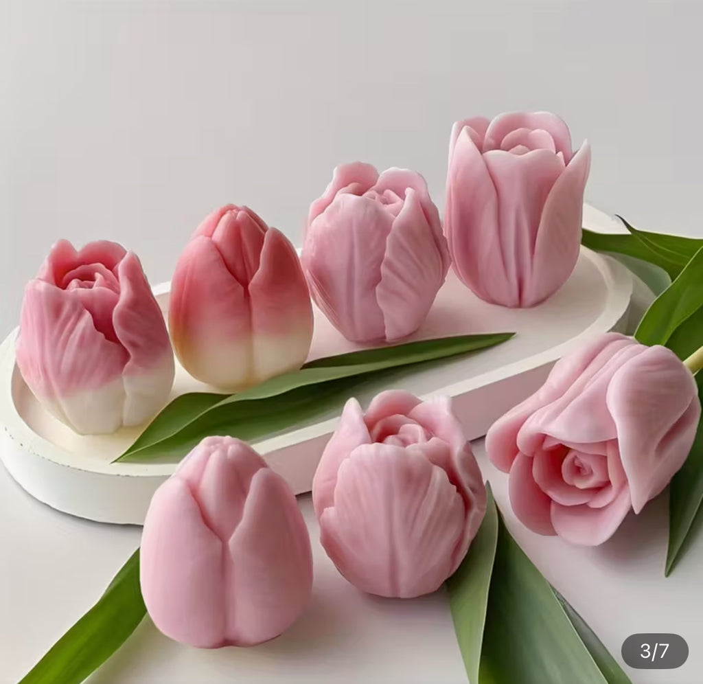 Tulips trio box