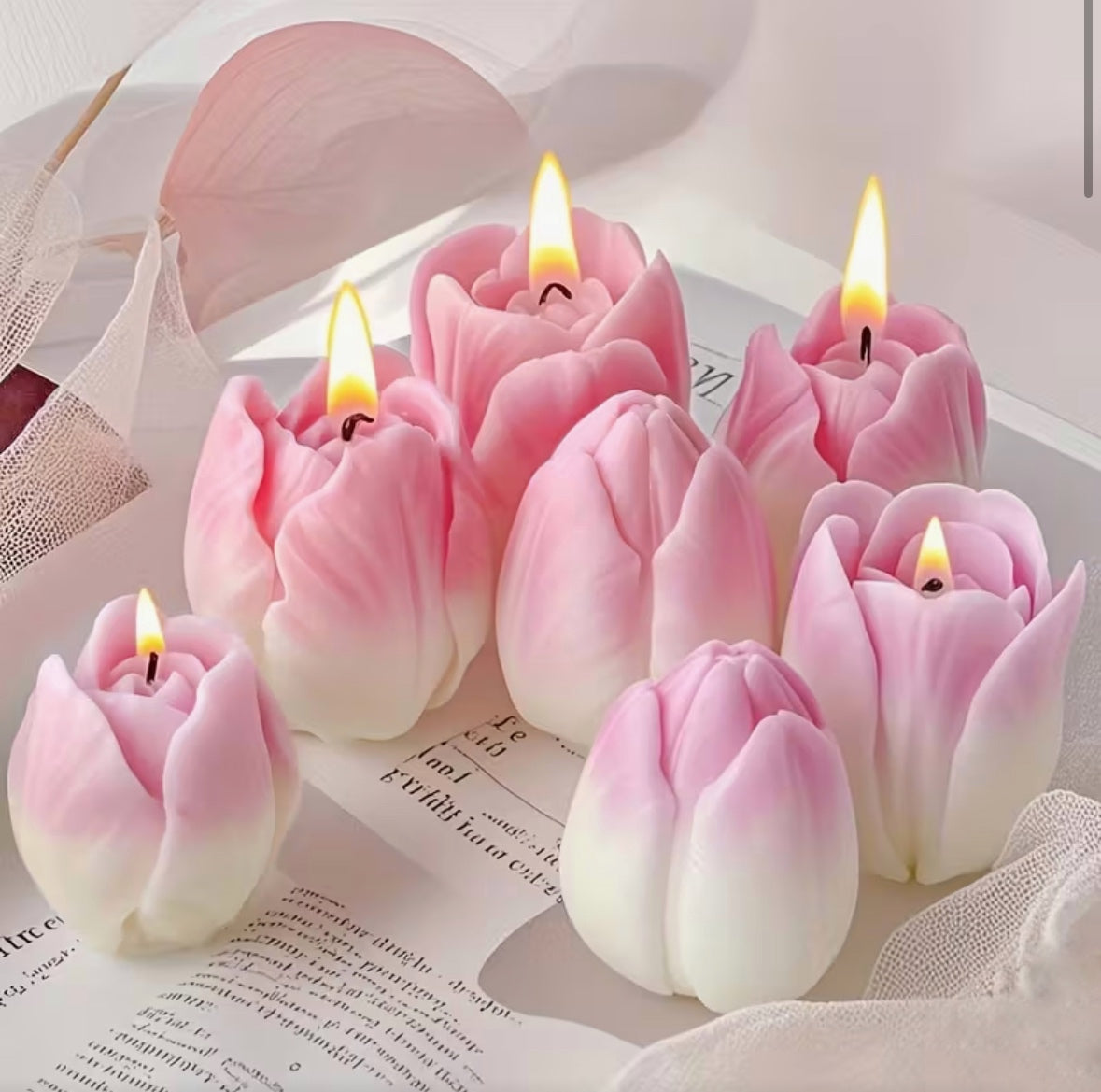 Tulips trio box