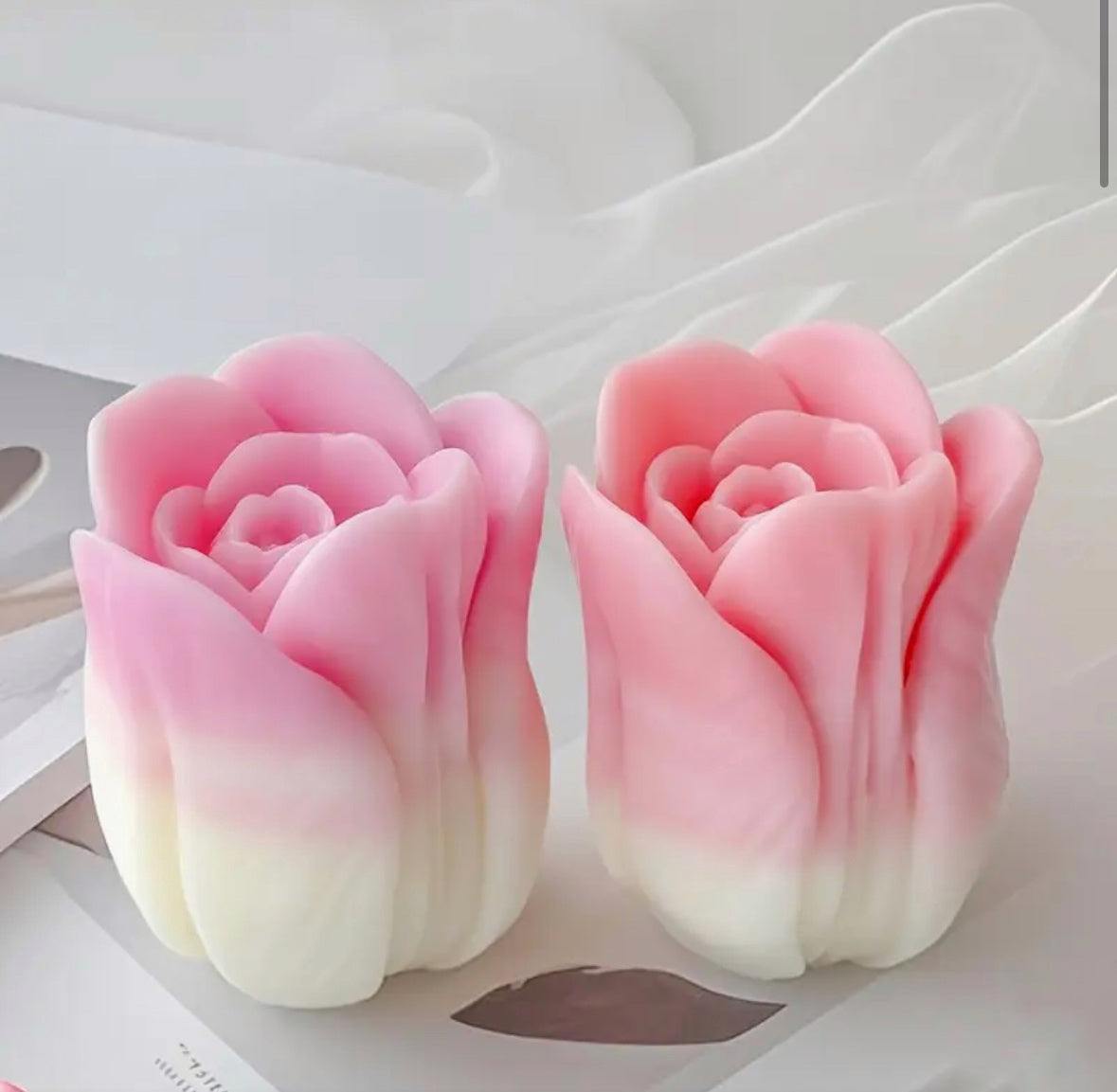 Tulips trio box