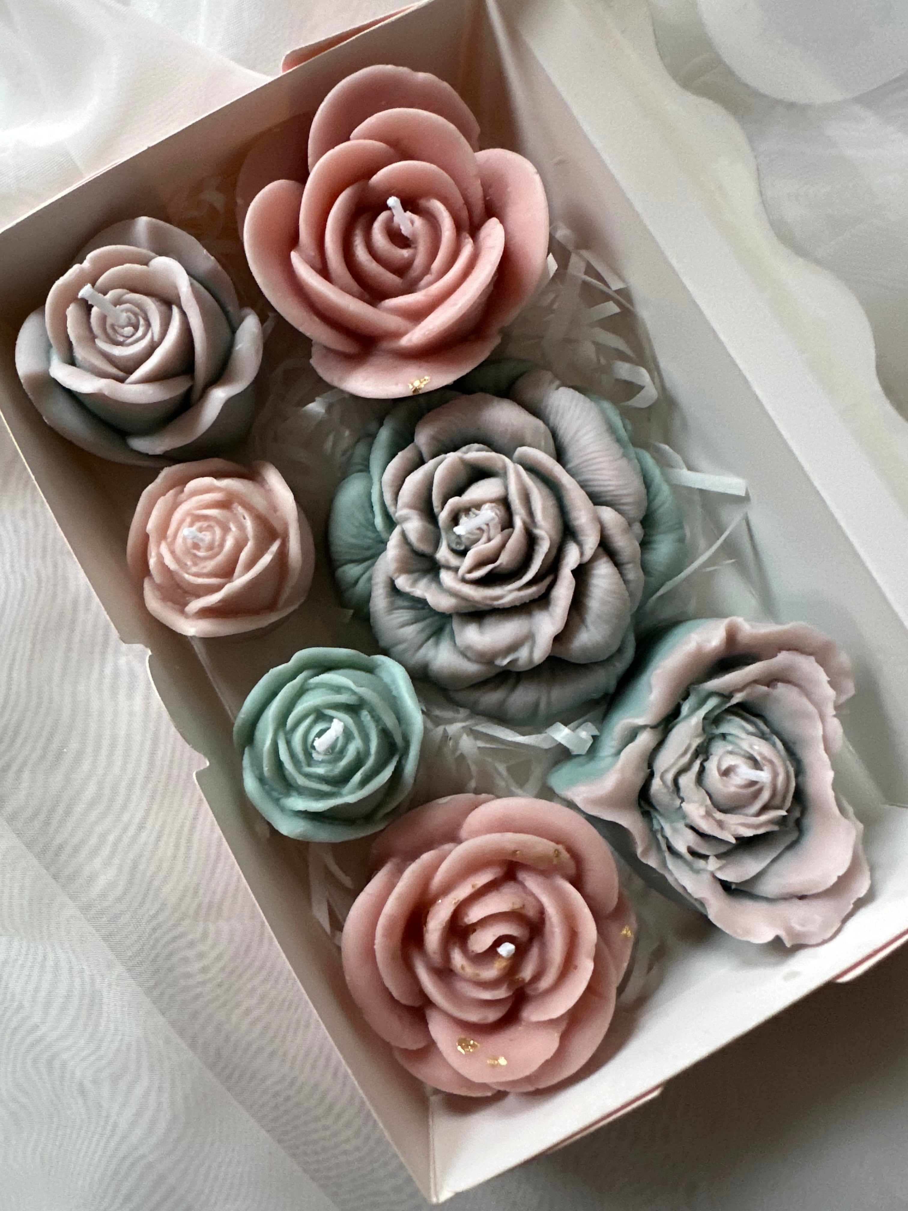 Garden of Roses
